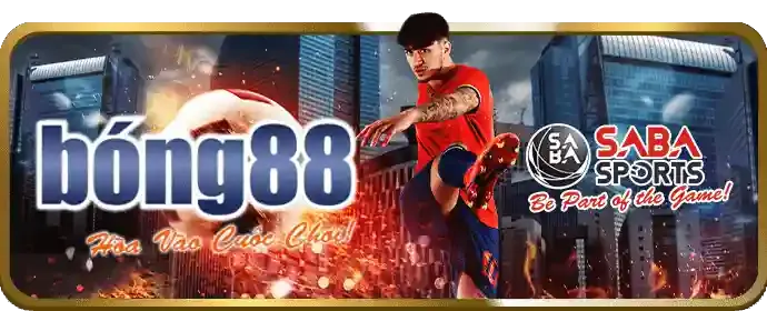 Chiến lược cá cược hiệu quả